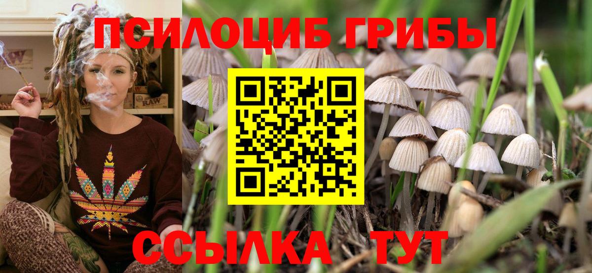 Псилоцибиновые грибы прущие грибы  Вход с VPN  Киселёвск  Галлюциногенные грибы ЛСД 